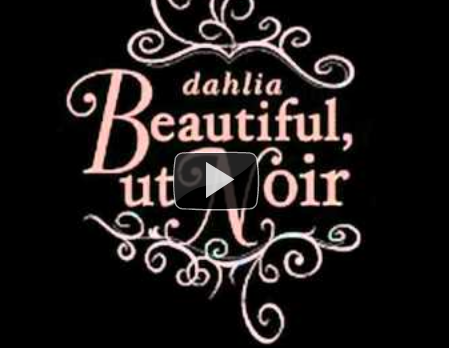 dahlia channel  on Youtube